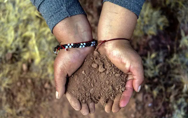 Two cupped hands hold a mound of dry soil.